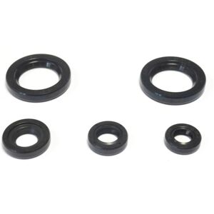 Kit Guarnizioni Olio Motore Athena per KTM RC 200 (2015-2016) - Engine Seal Kit Kit Guarnizioni Olio Motore Athena per KTM RC 200 (2015-2016) - Engine Seal Kit