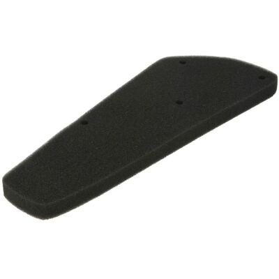 Athena S410210200009 - Filtro aria di alta qualità Athena S410210200009 - Filtro aria di alta qualità