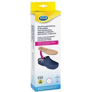 Scholl Clog Evo Soletta A-Static40/41