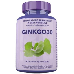 Biosalus Di Vatrella A. Sas Ginkgo30 60cps 27g