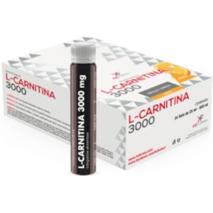 Aqua Viva Srl L Carnitina 3000mg 24fl 25ml