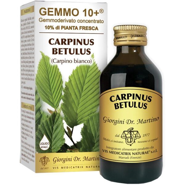 dr.giorgini ser-vis srl carpino gemmo 10+ analc.100ml