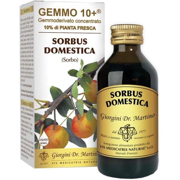 giorgini ser-vis srl sorbo 100ml analco gemmo 10+