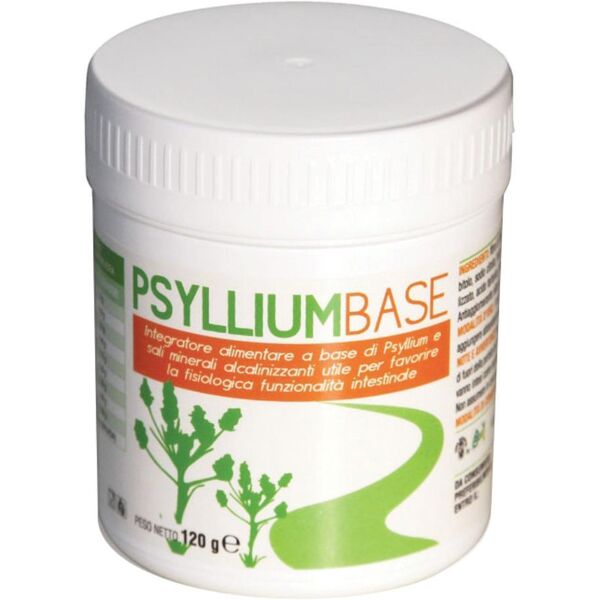 a.v.d. reform srl psyllium base polvere 200g