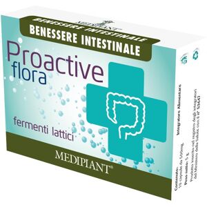 Mediplant Di Tinghino Mg&c Snc Proactive Flora 10 Cps 500mg