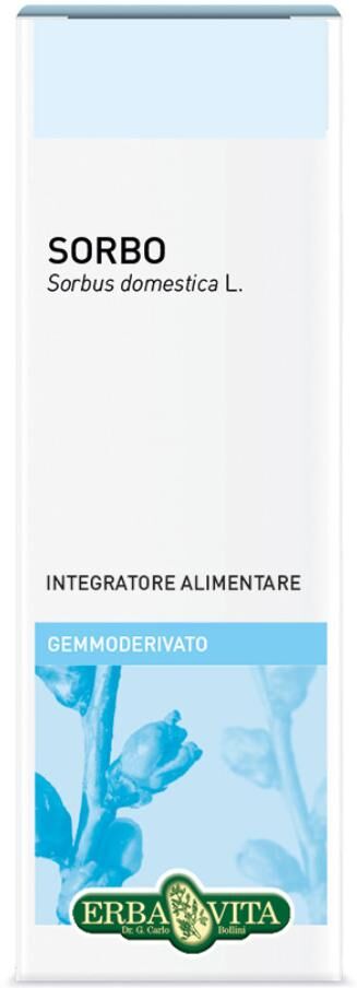 Erba Vita Gemmoderivato Sorbo 50ml