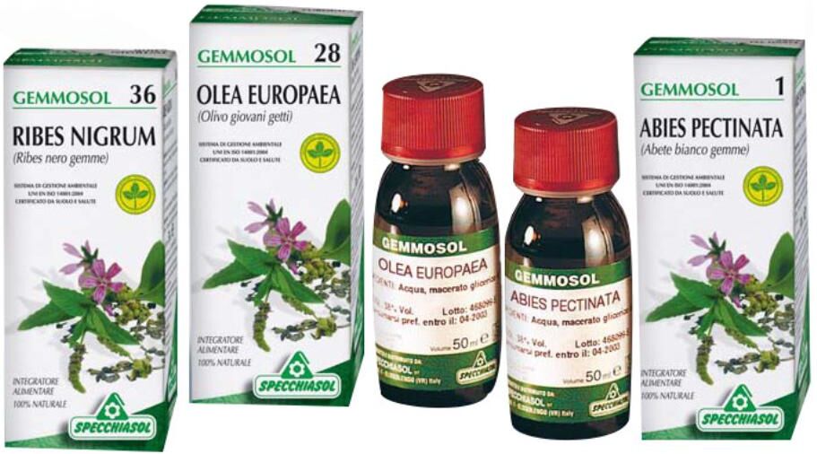 Specchiasol Snp Gemmosol 16 Castagno 50ml