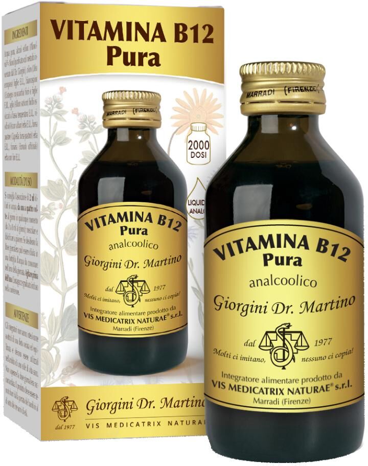 Giorgini Ser-Vis Srl Vitamina B12 Pura 100ml Liq An