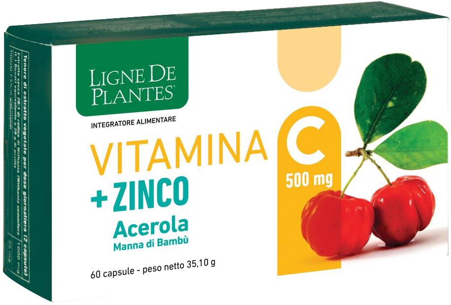 Natura Service Srl Vitamina C 500mg+zi/ac/ba60cps