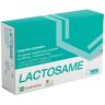 Amg Farmaceutici Srl Lactosame 30 Cps