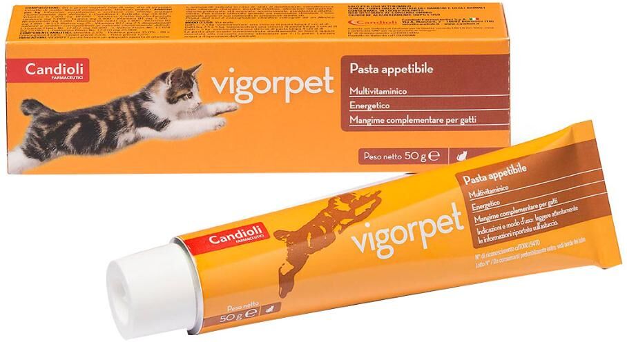 candioli ist.profil.e farm.spa vigorpet gatti pasta 50g vet