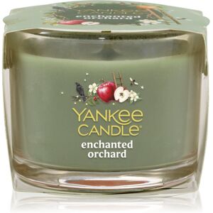 Yankee Candle Enchanted Orchard candela votiva glass 37 g Yankee Candle Enchanted Orchard candela votiva glass 37 g