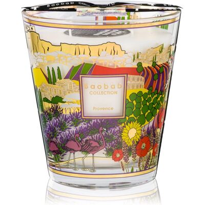 Baobab Collection Provence candela profumata 1000 g Baobab Collection Provence candela profumata 1000 g