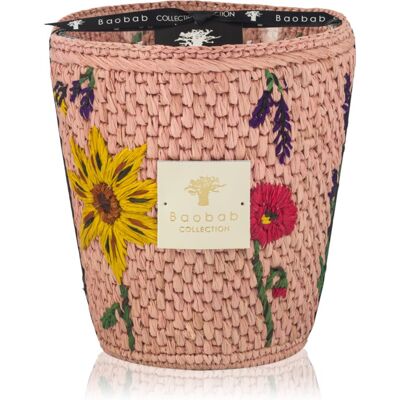 Baobab Collection Vony Kopelika candela profumata 1000 g Baobab Collection Vony Kopelika candela profumata 1000 g