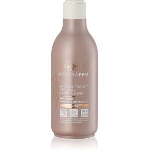 Bottega Verde Zenzero shampoo rinforzante per capelli 250 ml Bottega Verde Zenzero shampoo rinforzante per capelli 250 ml