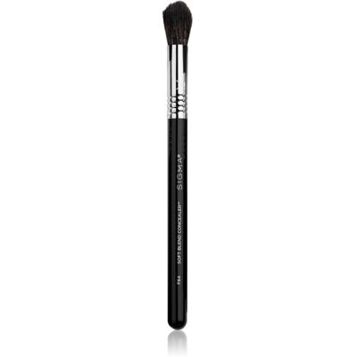 Sigma Beauty Face F64 pennello per correttore 1 pz Sigma Beauty Face F64 pennello per correttore 1 pz