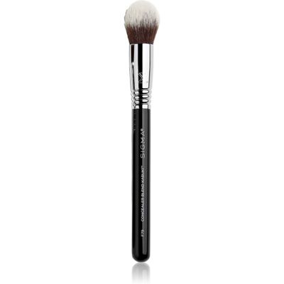Sigma Beauty Face F79 pennello kabuki per correttore 1 pz Sigma Beauty Face F79 pennello kabuki per correttore 1 pz