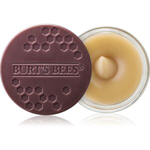 Burt’s Bees Lip Scrub scrub labbra effetto nutriente 7.08 g Burt’s Bees Lip Scrub scrub labbra effetto nutriente 7.08 g