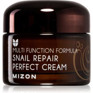 Crema viso Mizon Multi Function Formula con filtrato di secrezione di lumaca 60% - Crema viso Crema viso Mizon Multi Function Formula con filtrato di secrezione di lumaca 60% - Crema viso