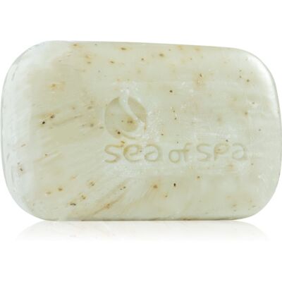 Sea of Spa Dead Sea Treatment sapone solido con alghe marine 125 g Sea of Spa Dead Sea Treatment sapone solido con alghe marine 125 g