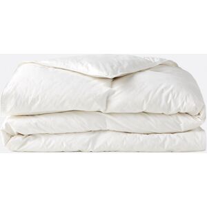 LA REDOUTE INTERIEURS Piumone al 30% in piuma d'oca LA REDOUTE INTERIEURS Piumone al 30% in piuma d'oca