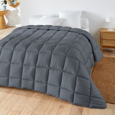 La Redoute Intérieurs - Piumone temperato colorato - Antracite - Duvet La Redoute Intérieurs - Piumone temperato colorato - Antracite - Duvet