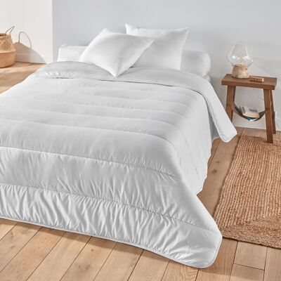 LA REDOUTE INTERIEURS - Piumone 500 g/m² - Piumone LA REDOUTE INTERIEURS - Piumone 500 g/m² - Piumone