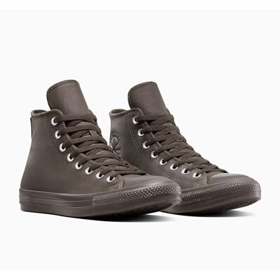 CONVERSE Sneakers Chuck Taylor All Star Seasonal Color CONVERSE Sneakers Chuck Taylor All Star Seasonal Color