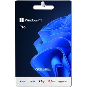 Microsoft Windows 11 Professional