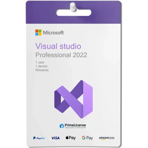 Microsoft Visual Studio Professional 2022