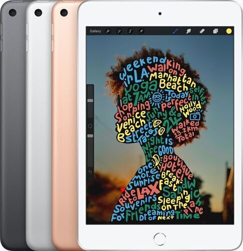 Apple iPad mini 5 (2019)   7.9"   256 GB   4G   rosé dorato