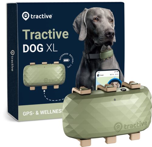 tractive dog xl - gps per cani con maggiore autonomia della batteria   abbonamento escluso   trdog4xlgr   verde