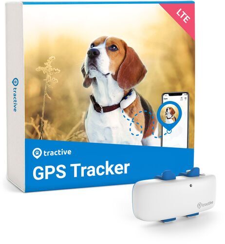 Tractive GPS DOG 4 - localizzatore GPS per cani con monitoraggio del benessere   ABBONAMENTO ESCLUSO   TRNJAWH   blu/bianco