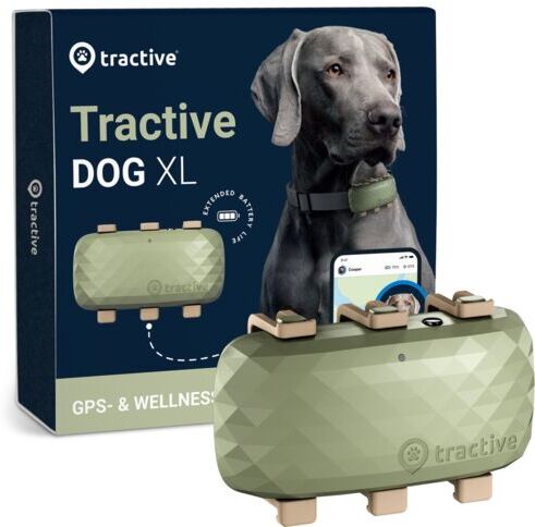 tractive dog xl - gps per cani con maggiore autonomia della batteria   abbonamento escluso   trdog4xlgr   verde