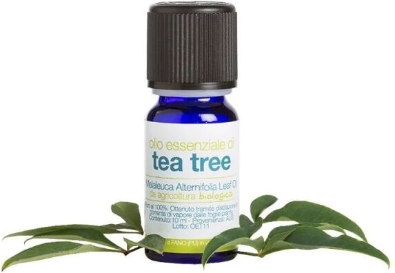 la saponaria Oli Essenziali Olio essenziale di Tea Tree