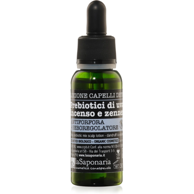 La Saponaria Lozione Detox Capelli e Anti-forfora - Cura Capelli e Cuoio Capelluto La Saponaria Lozione Detox Capelli e Anti-forfora - Cura Capelli e Cuoio Capelluto