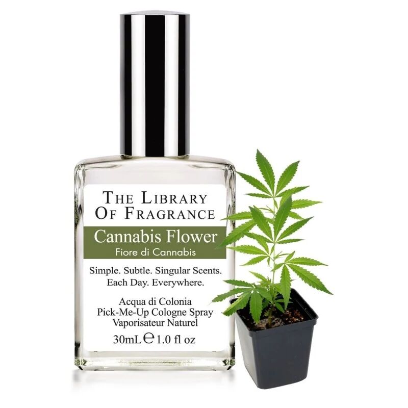 the library of fragrance Profumi Profumo Naturale Fiore di Cannabis