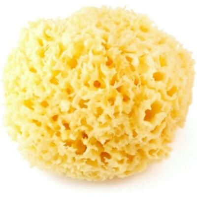 Cose della Natura Spugna Arcipelago Sbiancata - 8/10 g Cose della Natura Spugna Arcipelago Sbiancata - 8/10 g