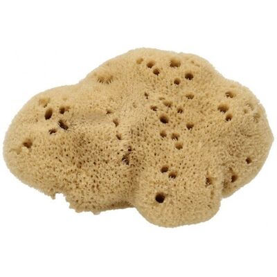 cose della natura Spugna Fine Dama Lavata 8/10 gr cose della natura Spugna Fine Dama Lavata 8/10 gr