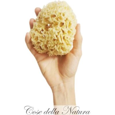 Spugna Esfoliante Cose della Natura - Per tutti i tipi di pelle Spugna Esfoliante Cose della Natura - Per tutti i tipi di pelle