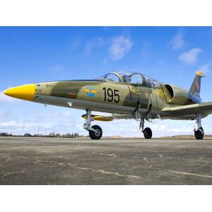 SmartBox Pilota per un giorno in Florida: volo di 30 minuti su jet militare L-39 Albatros