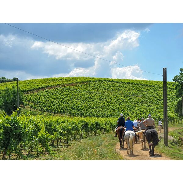 smartbox passeggiata a cavallo nei monti lepini con degustazione in cantina vinicola per 2