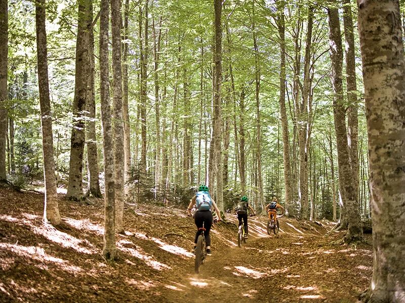 smartbox esplorando il monte amiata: escursione guidata in e-bike per 2 amanti dellâ€™avventura