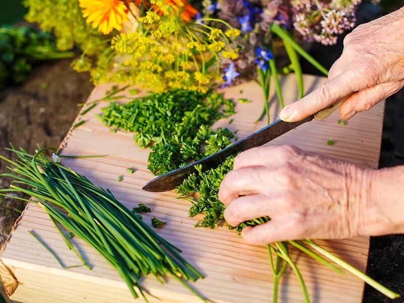 smartbox dallâ€™orto alla tavola: corso di cucina per 2 persone con raccolta di erbe spontanee