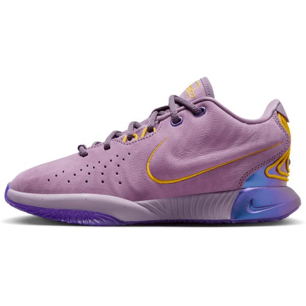 nike scarpa da basket lebron xxi freshwater – ragazzo/a - viola