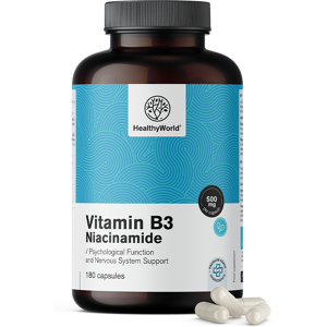 HealthyWorld Vitamina B3 500 mg – niacinamide, 180 capsule