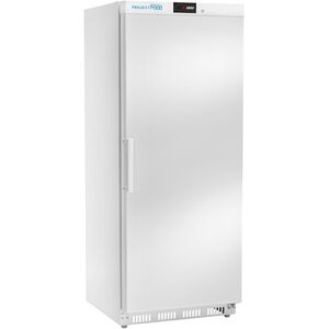 Armadio refrigerato premium in ABS temp. < -18°C con centralina digitale e porta cieca capacità 580 lt