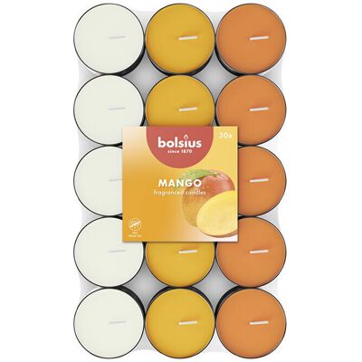 Bolsius - Mango Tealight - 30 pezzi - Tealight Candle Bolsius - Mango Tealight - 30 pezzi - Tealight Candle