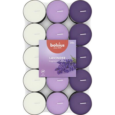 Bolsius - Lavanda - profumo di lavanda - 30 pezzi - Candele tealight Bolsius - Lavanda - profumo di lavanda - 30 pezzi - Candele tealight