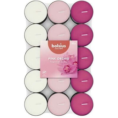 Bolsius - Orchidea Tealight - 30 pezzi - Candela Bolsius - Orchidea Tealight - 30 pezzi - Candela
